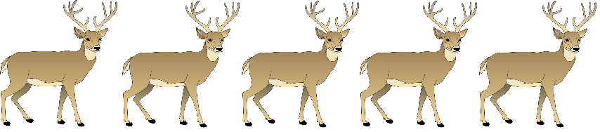 5 out of 6 white tailed deer