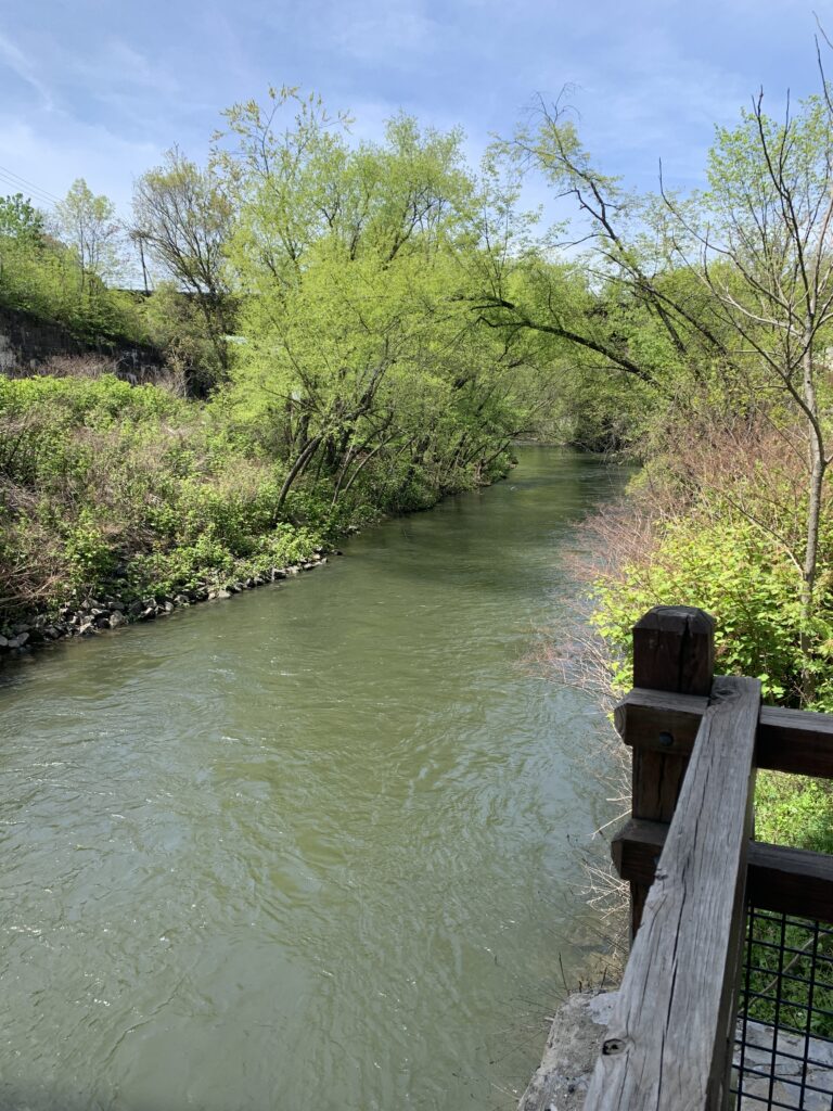 Lackawanna River Heritage Trail - NEPA Funday, view of river